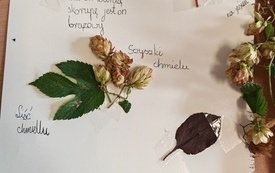 IMG_20260918_124419
