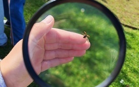 IMG_20260918_111326