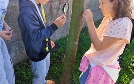 IMG_20260918_110846_1