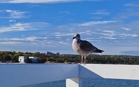 IMG_20261007_143830