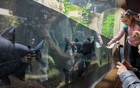 IMG_20261007_120404