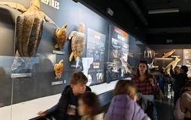 IMG_20261007_114321