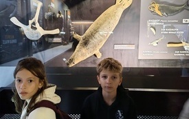 IMG_20261007_114255