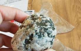 IMG_20261023_104656